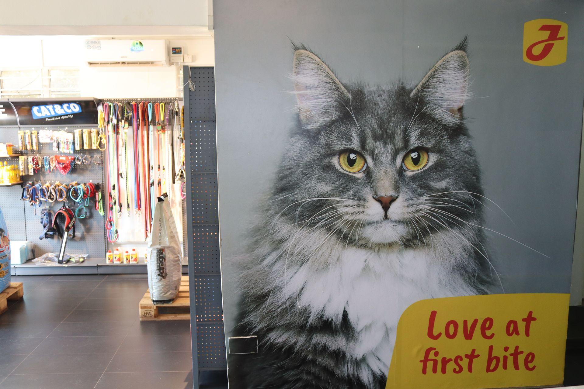 Pet store interior with happy pets