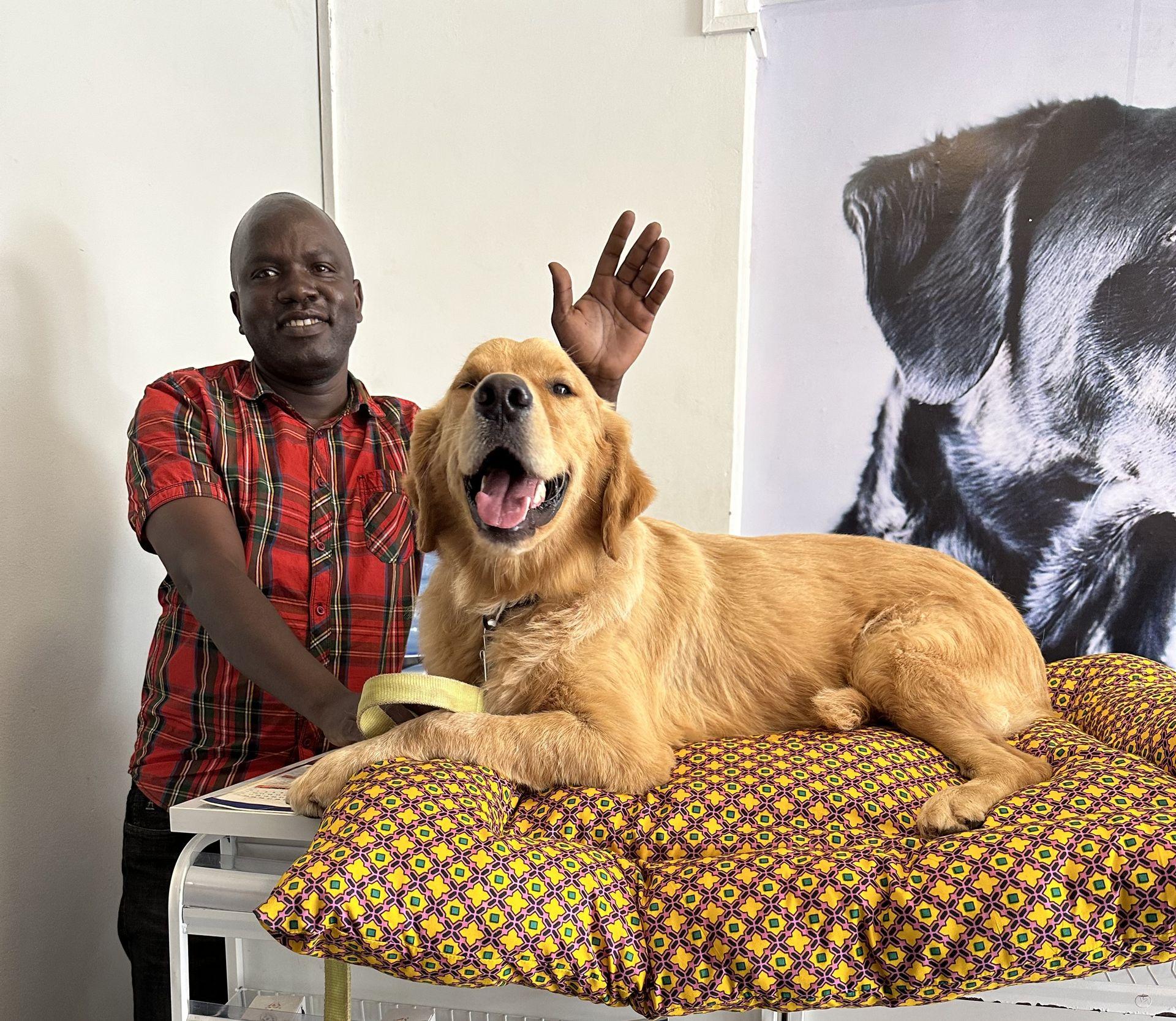Pet store interior with happy pets