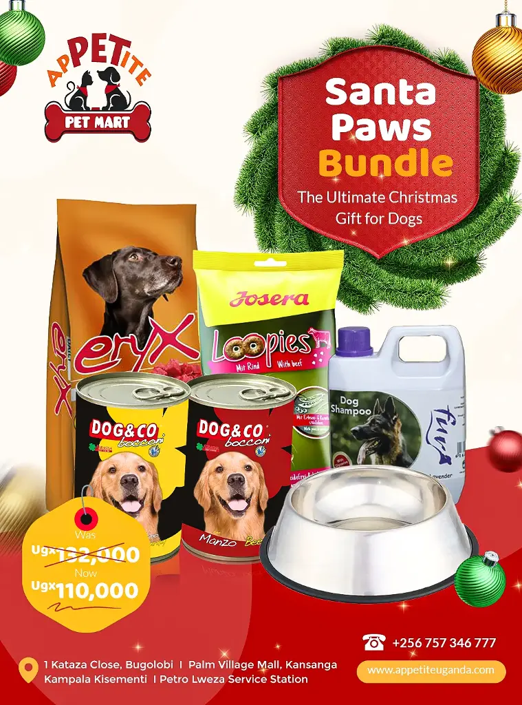 Santa Paws Bundle
